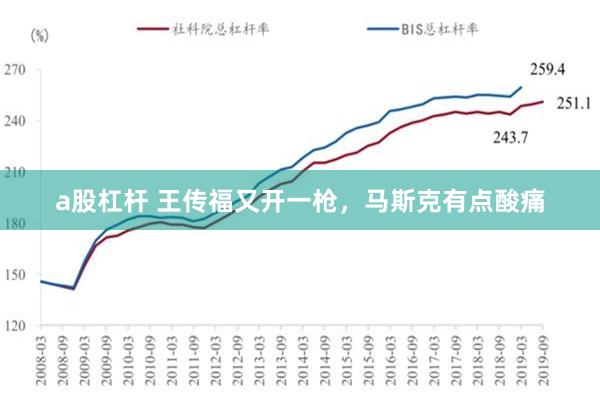 a股杠杆 王传福又开一枪，马斯克有点酸痛