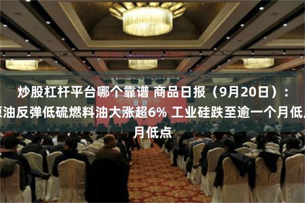 炒股杠杆平台哪个靠谱 商品日报（9月20日）：原油反弹低硫燃料油大涨超6% 工业硅跌至逾一个月低点