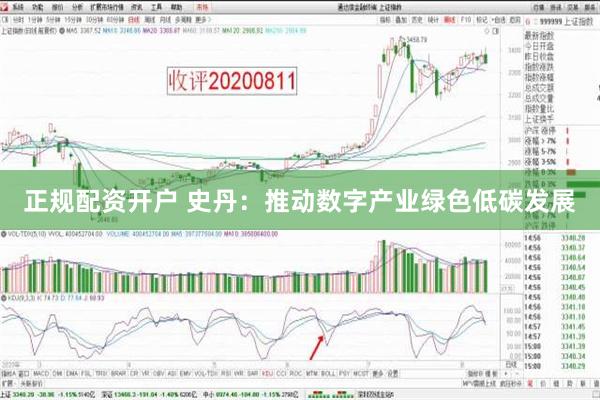 正规配资开户 史丹：推动数字产业绿色低碳发展