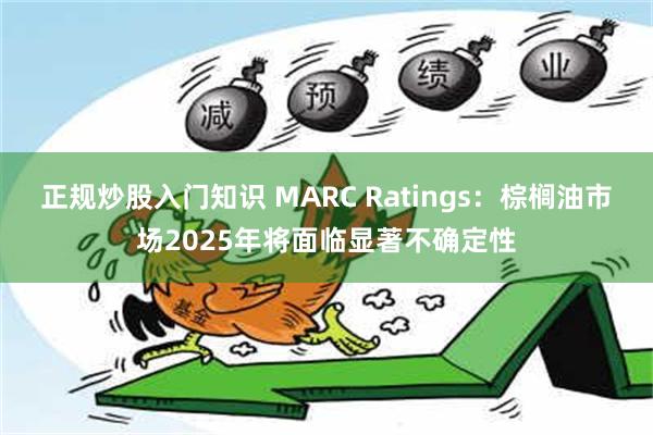 正规炒股入门知识 MARC Ratings：棕榈油市场2025年将面临显著不确定性