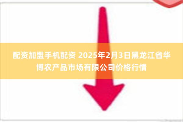 配资加盟手机配资 2025年2月3日黑龙江省华博农产品市场有限公司价格行情