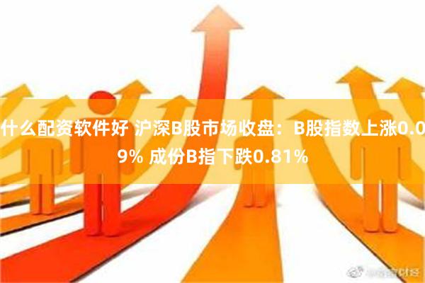 什么配资软件好 沪深B股市场收盘：B股指数上涨0.09% 成份B指下跌0.81%